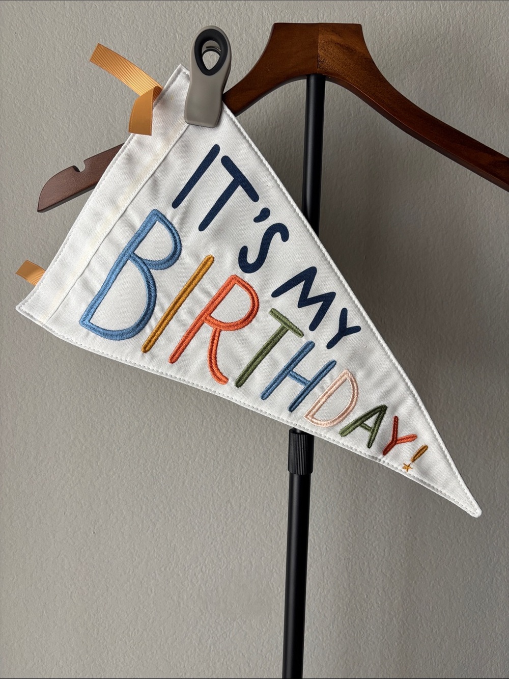 "It's My Birthday" Multicolor Pennant Banner